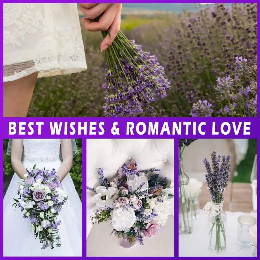 Natural Dried Lavender Bundles for Home Decor
