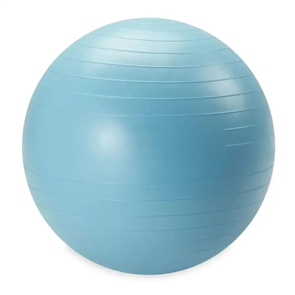 Weighted Stability Ball For Core Strength And Balance Training