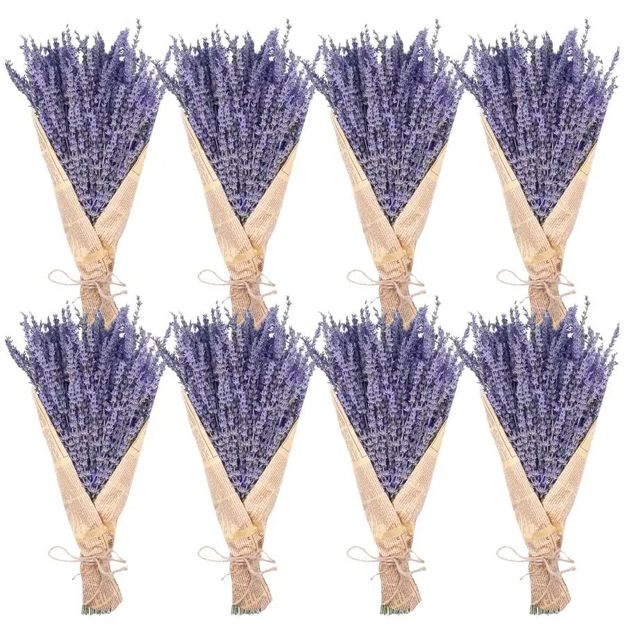 Natural Dried Lavender Bundles for Home Decor