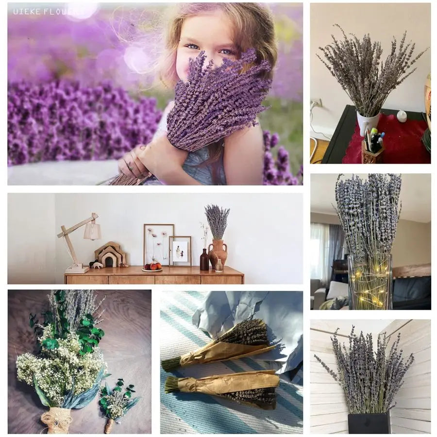 Natural Dried Lavender Bundles for Home Decor