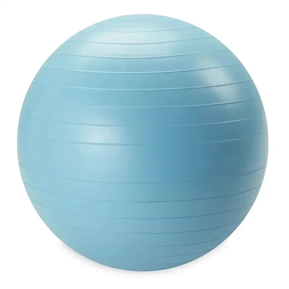 Weighted Stability Ball For Core Strength And Balance Training